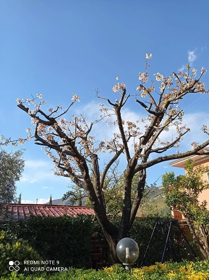 Ferienwohnung Il Giardino Di Patrizia Querceta Apartment