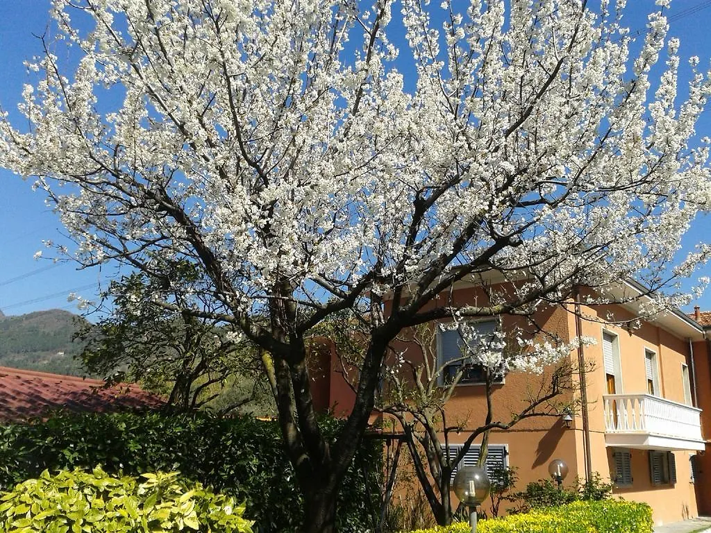 Ferienwohnung Il Giardino Di Patrizia Querceta Apartment